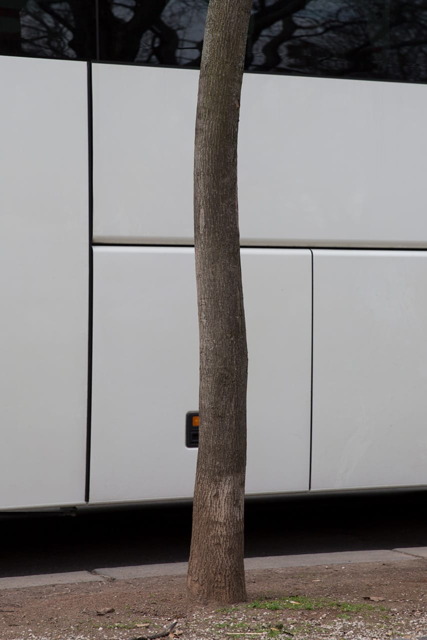 Baum und Bus, by Julian Mullan