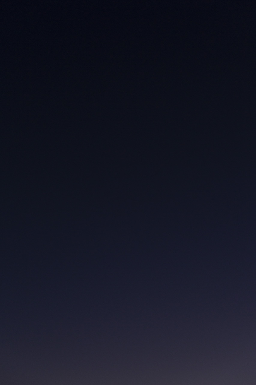 Venus (9229), by Julian Mullan